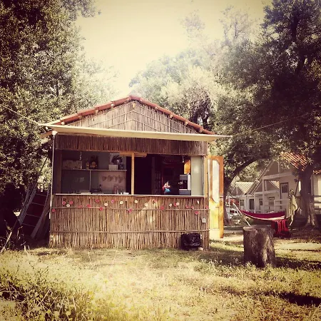 Eco Camping Albania * Dhermi