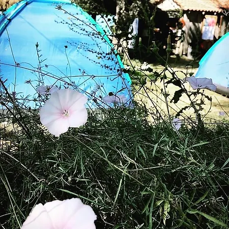 Campsite Eco Camping Albania *