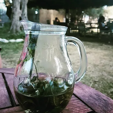 Eco Camping Albania