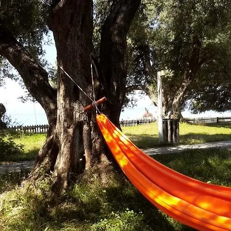 Campsite Eco Camping Albania *