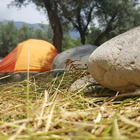 Eco Camping Albania * Dhermi
