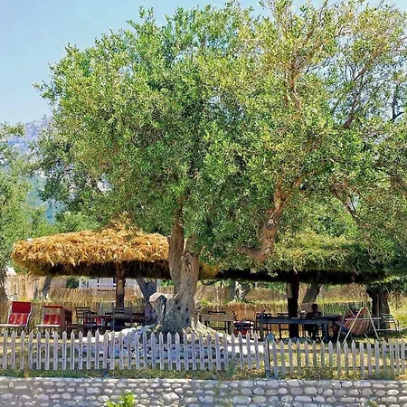 Eco Camping Albania *