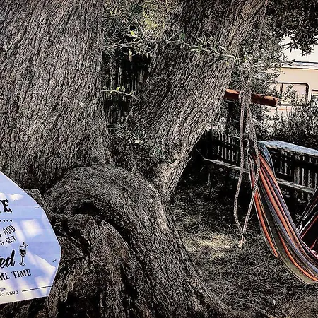 Kemp Eco Camping Albania